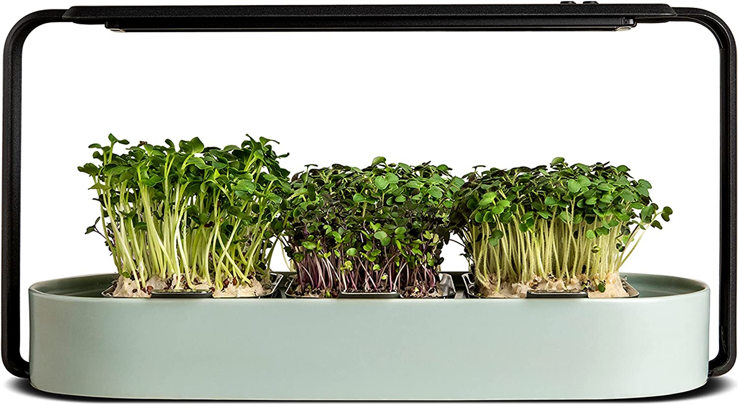 The ingarden smart garden on a white background.